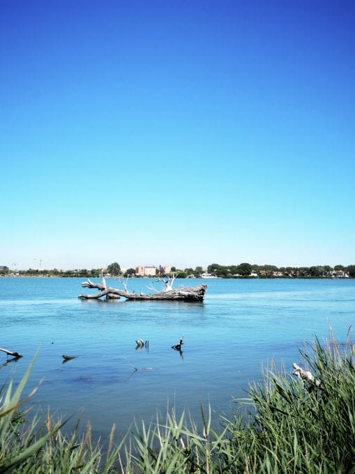 Style&Minimalism | Travel | Postcards From The Camargue, France