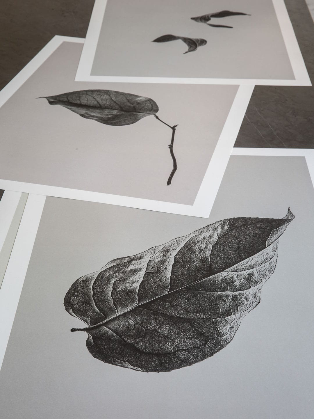 Norm Architects Sabi Leaves Prints