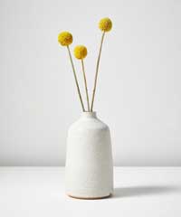 TOAST Lucy Rutter Stoneware Medium Bottle Vase
